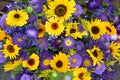 Decorative sunflowers and blue asters