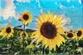 Decorative sunflowers in the field with beautiful clouds and blue sky. Abstract art. Ipad pro drawing