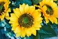 Decorative sunflowers used in decoration of city streets