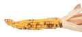 Decorative sweetcorn with yellow, red and black niblets