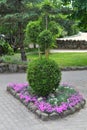 Decorative topiary bush with flower bed