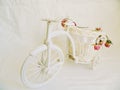 decorative toy bike and dried rose buds