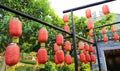 Chinese red lantern China paper lamp landscape lighting Royalty Free Stock Photo