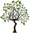 Decorative tree Royalty Free Stock Photo