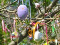 Decorative tree decorated with decorated Easter eggs. National Tadic. Christian Orthodox religious festival.