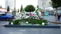 Decorative tree on a flower bed on Novy Arbat street in Moscow
