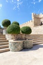 Decorative trimmed trees at the entrance to the ancient fortress of the Old Sity Baku. Historical core of Azerbaijan Baku Royalty Free Stock Photo