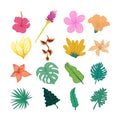 Decorative Tropical Flower And Leaves Hand Drawn Illustration