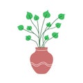 Decorative vase for home flowers on white background Royalty Free Stock Photo