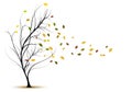 Decorative vector tree silhouette in autumn