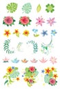 Decorative vegetation in vector