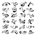 Decorative vintage and classic curl black pattern Royalty Free Stock Photo