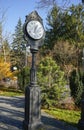 Decorative vintage clock on top of a brass pillar on a street