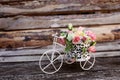 Decorative vintage model old bicycle equipped basket flowers garden. Royalty Free Stock Photo