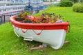 Decorative Vintage Model Old wooden oar boat full of flowers.