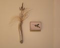 Decorative wall display and small painting of a ruby-throated hummingbird on a wall in Marfa, Texas.