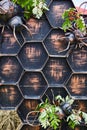 Decorative wall like a honeycomb.  Agricultural Exhibition Royalty Free Stock Photo