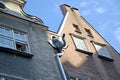 Decorative water drain in the form of elephant head. Gdansk, Poland