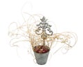 Decorative water pail with dried plants