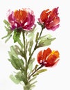 decorative watercolor flower background. watercolor flowers. Red flowers. Floral illustration for printing on fabric and design