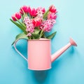 Decorative watering can with pink tulips on blue. Gardening concept