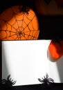 Decorative web with spiders in sunlight for Halloween Royalty Free Stock Photo