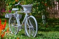 A decorative white bicycle with flower pots surrounded by flower beds. White bicycle in a green garden. Selective focus Royalty Free Stock Photo