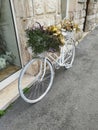 decorative white bicycle with Royalty Free Stock Photo
