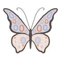 Decorative white butterfly with red and blue round spots. Butterfly wings with black outline. Graceful illustration with graceful