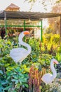 Decorative white flamingos in a garden in Cairo