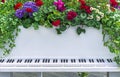 Decorative white piano with flowers growing out of it. Bright flowers on a white piano