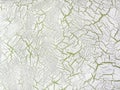 Decorative white plaster with green background and aging effect. Abstract art vintage backdrop with cracked paint