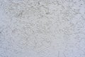 Decorative white wall plaster pattern stylized in bark beetle texture. Texture of the surface of the wall covered with decorative