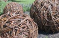 Decorative wicker spheres from tangled brushwoods
