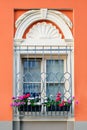 Decorative window with flowers Royalty Free Stock Photo