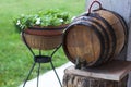 decorative wine barrel in the garden