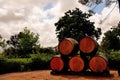 Decorative wine barrels in a garden