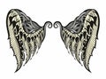 A pair of bird wings. Angel. Vector illustration for tattoo. Royalty Free Stock Photo