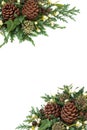 Decorative Winter Background Border Royalty Free Stock Photo