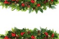 Decorative Winter and Christmas Floral Border Royalty Free Stock Photo