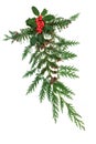Decorative Winter Display with Holly and Cedar Royalty Free Stock Photo