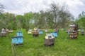 Decorative wooden beehives at apiary. Bee hive in village green garden Royalty Free Stock Photo