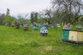 Decorative wooden beehives at apiary. Bee hive in village green garden Royalty Free Stock Photo