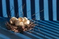 Decorative wooden Easter eggs in nest. Nest branches stick out in different directions. Shadows from blinds on dark blue