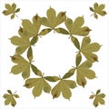 A decorative wreath of autumn chestnut leaves, designed to create a print on fabric, wrapping paper, for a gift card or banner.