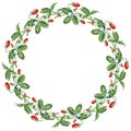 Decorative wreath from drawn sprigs wild ripe strawberries