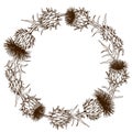 Decorative wreath with onopordum acanthium. Scottish thistle Royalty Free Stock Photo