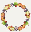 Decorative wreath from watercolor drawings of various ripe fruits,yellow apples,red cherries and plum,blue chokeberry berries, Royalty Free Stock Photo
