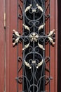 decorative wrought iron grille on the door. Detail of beautifully ornate wrought iron front door grill Royalty Free Stock Photo