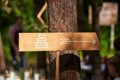 Decoratoration wooden wedding cake arrow sign in the pine forest. Cake banner on event venue in the woods outdoors. Royalty Free Stock Photo
